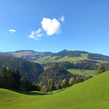 Bergappartement Kink Hopfgarten im Brixental Exteriér fotografie