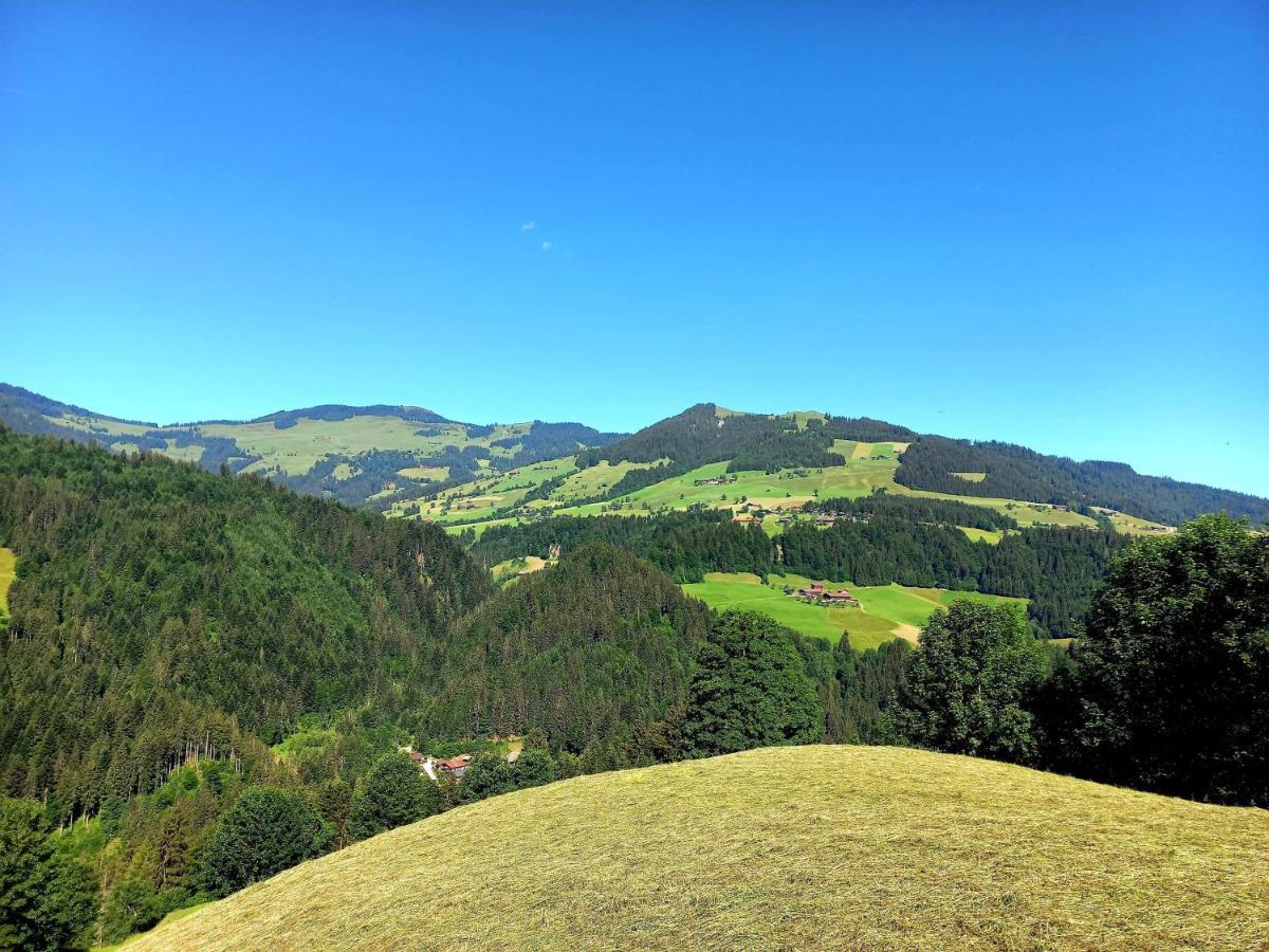 Bergappartement Kink Hopfgarten im Brixental Exteriér fotografie