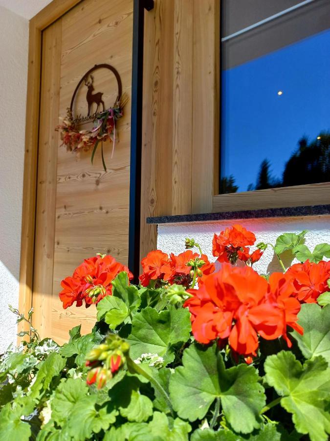 Bergappartement Kink Hopfgarten im Brixental Exteriér fotografie
