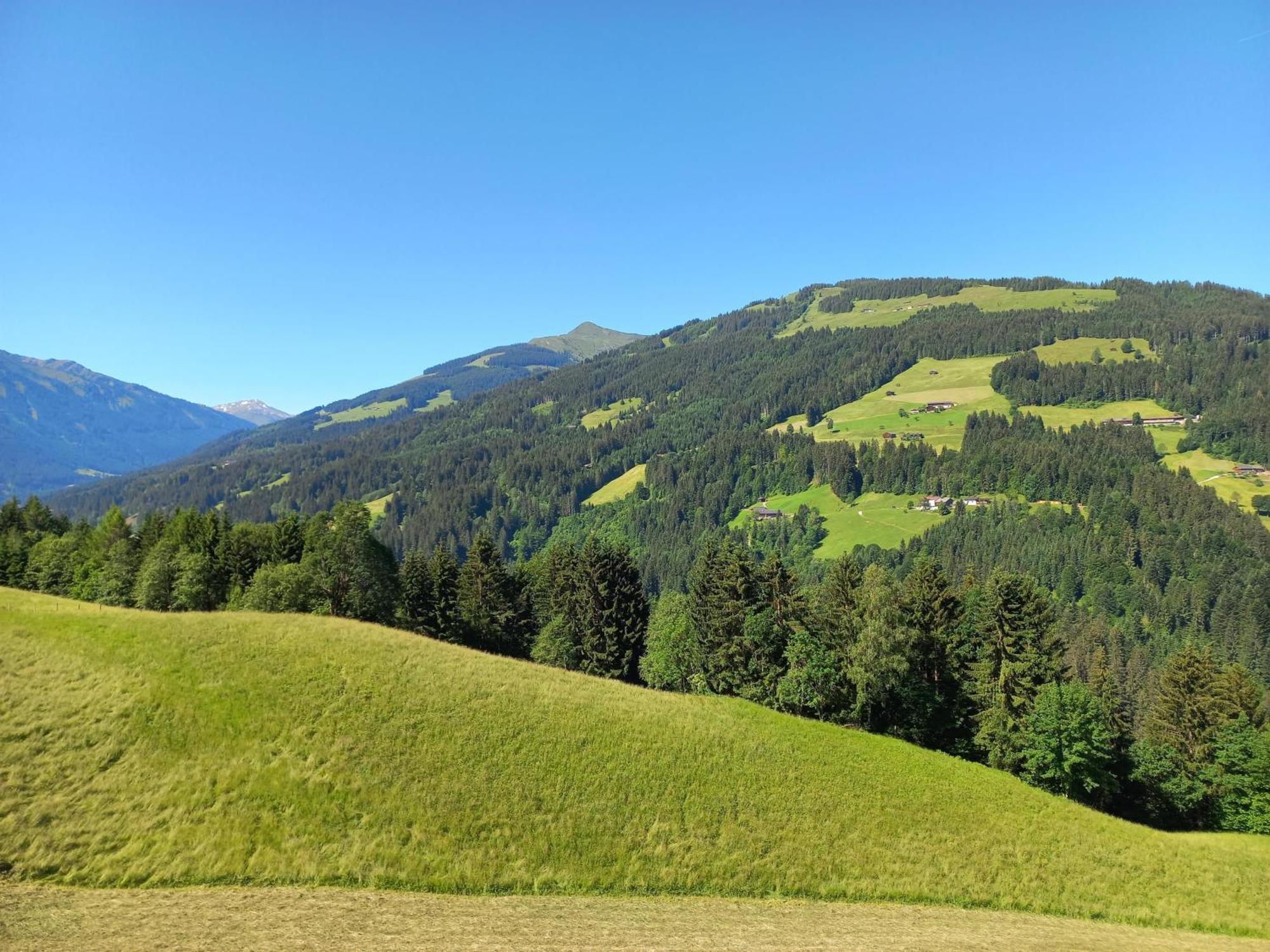 Bergappartement Kink Hopfgarten im Brixental Exteriér fotografie